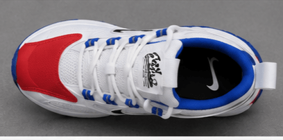 Nike Pegasus Trail Blanc/Rouge/Bleu