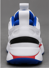 Nike Pegasus Trail Blanc/Rouge/Bleu